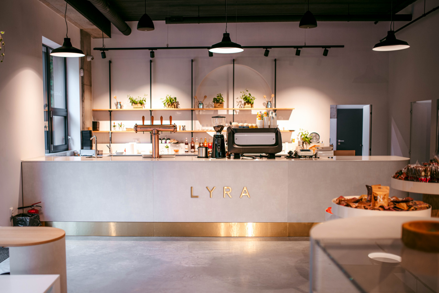 Lyra chocolate