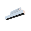 Worker Compact